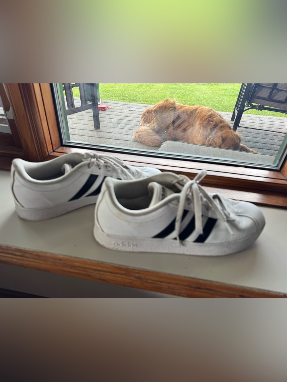 Adidas women’s court shoes